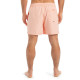 Quiksilver Ανδρικό μαγιό Everyday Deluxe 15" - Swim Shorts